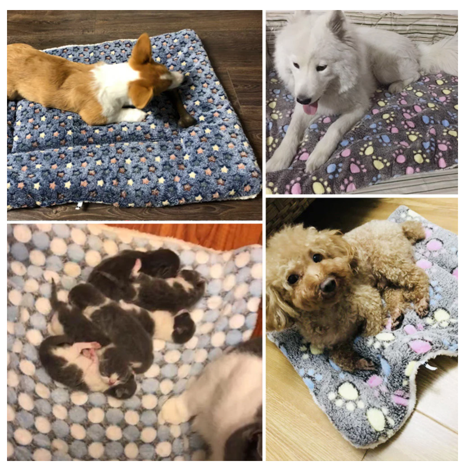 Cama Para Mascotas