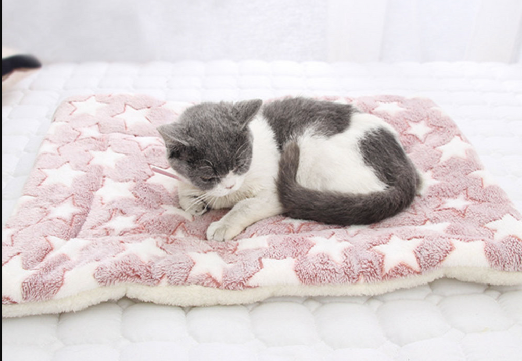 Cama Para Mascotas